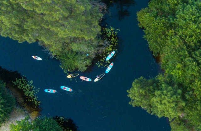  Camicrema en remo con un instructor titulado 