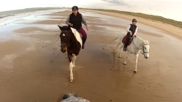  Magnífico paseo a caballo en Charenle-Maritime 
