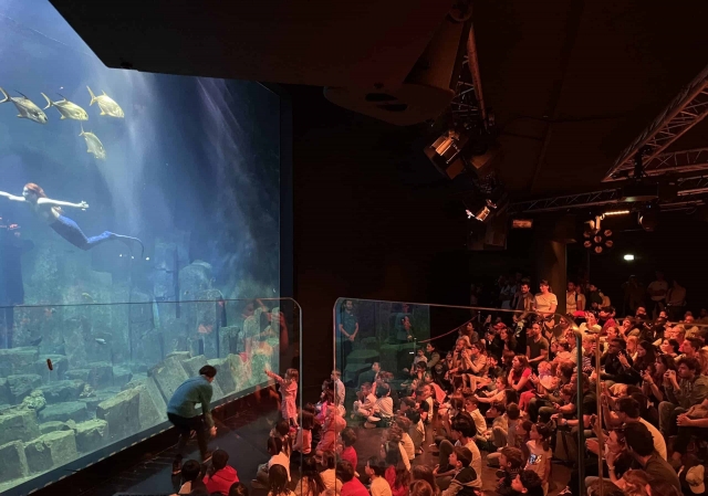  El espectáculo de las sirenas 