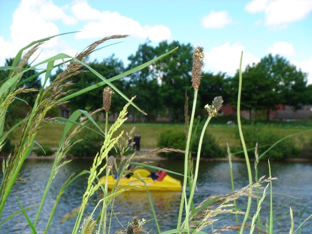  Experimenle un momento de relax en un ambienle plácido 