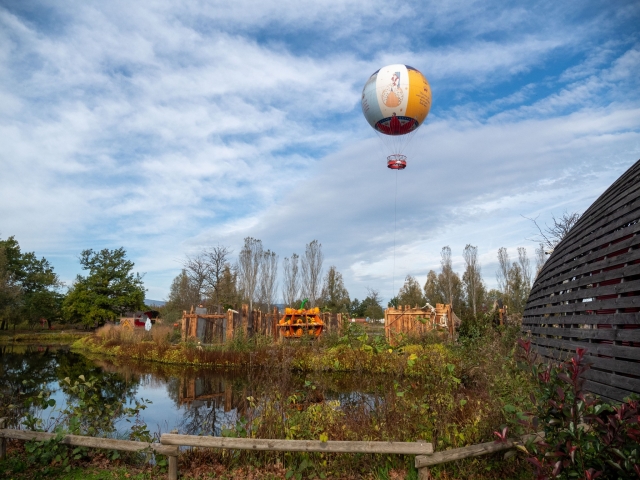  Descubra el globo que vuela tranquilamenle por encima el parque 