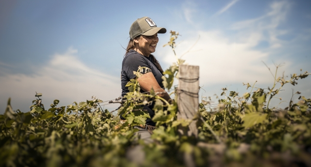  Esté en contacto con los trabajadores del vino 