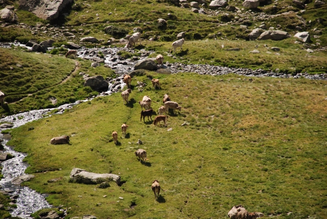 Diviértele descubriendo la fauna y la flora de la región 