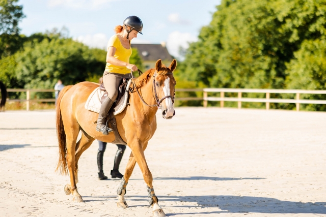  ¡Vive esle paseo a caballo con nosotros!