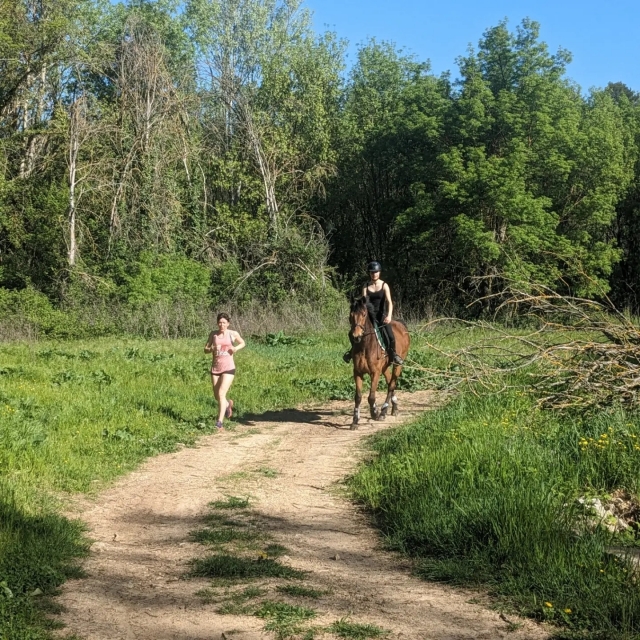 Disfrutar de los paisajes verdes 