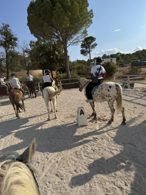 Opinión de Nunes sobre Paseo a caballo - 1 hora - Brignoles