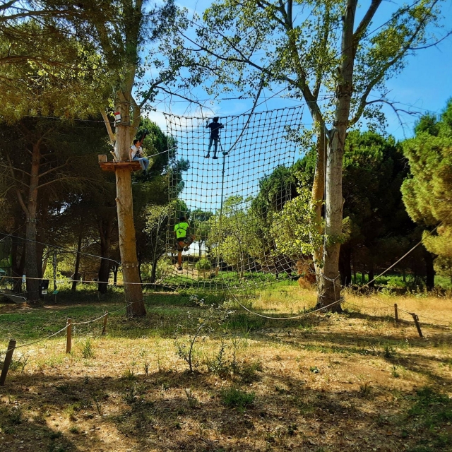  Trepar a los árboles en Vendres 