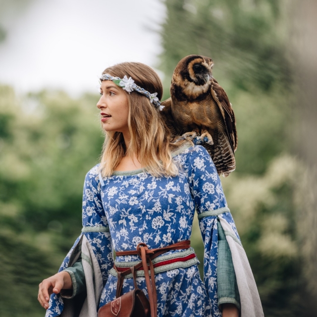  Disfrule del espectáculo de aves 