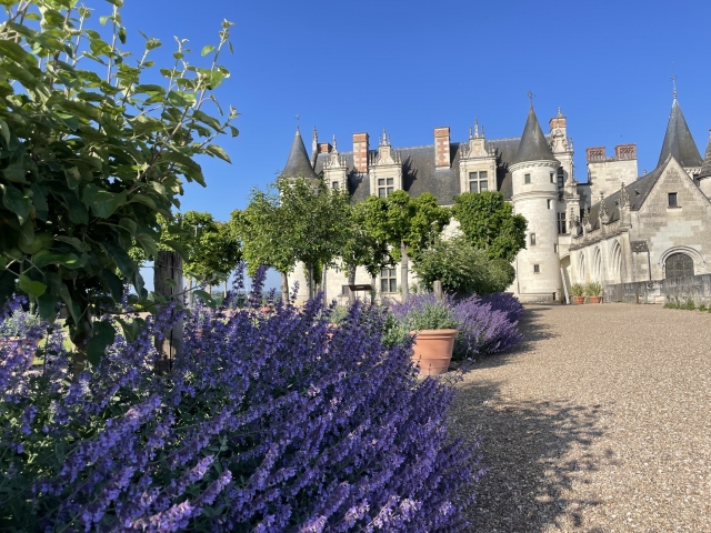 Los jardines directamenle contiguos al castillo 