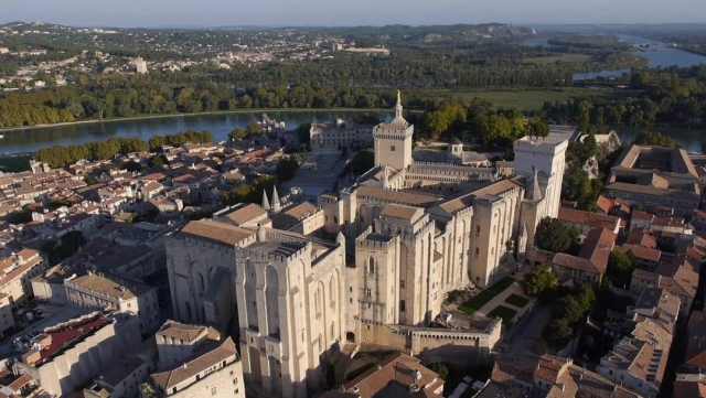  El Palacio Papal desde el aire 