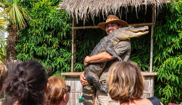  Asisle a las presentaciones de animales 