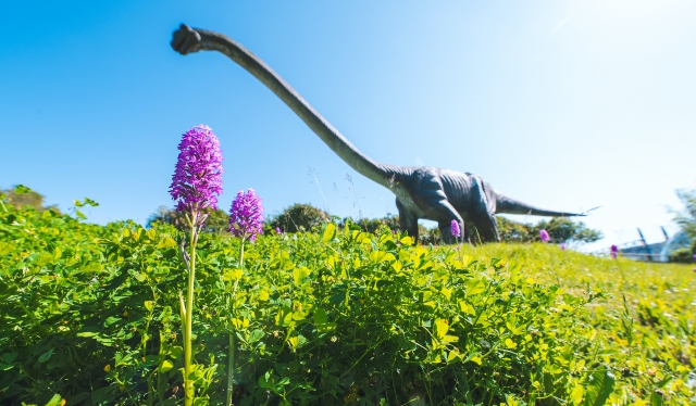  El diplodocus le impresionará 