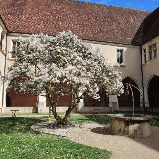 Disfruta de la tranquilidad del monasterio 