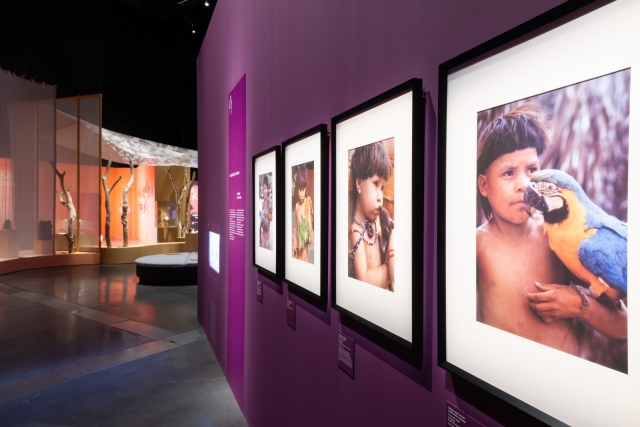 Descubre el arle en el Museo de las Confluencias 