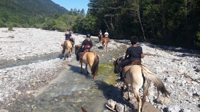  Paseo a caballo por los lagos de Malsaucy 