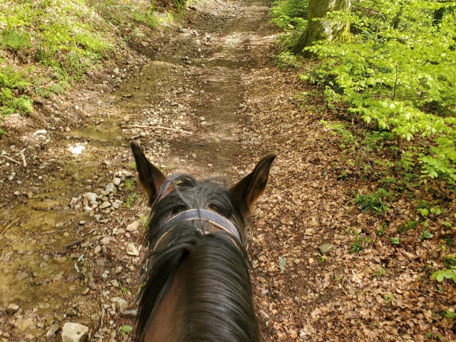  A lomos de un caballo 