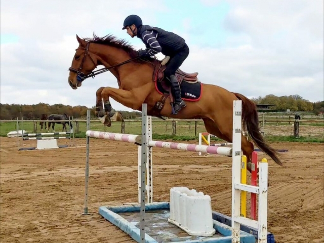  Pbaños a caballo en La Guerche sur l'Aubois 