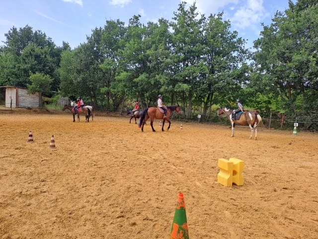  Paseo a caballo en el Mont Venutoux 