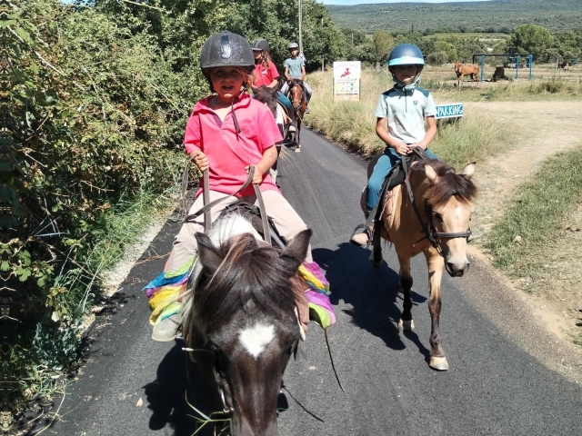  Paseo a caballo en la región de Provenza 