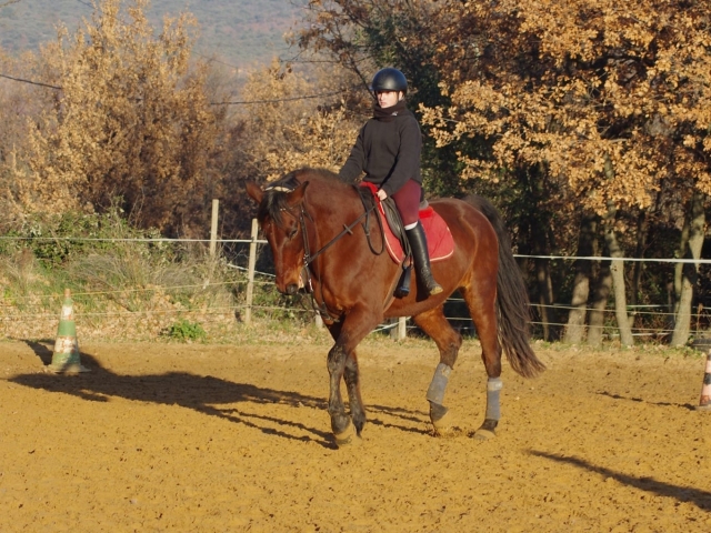 Subir a caballo en Villes-sur-Auzon 
