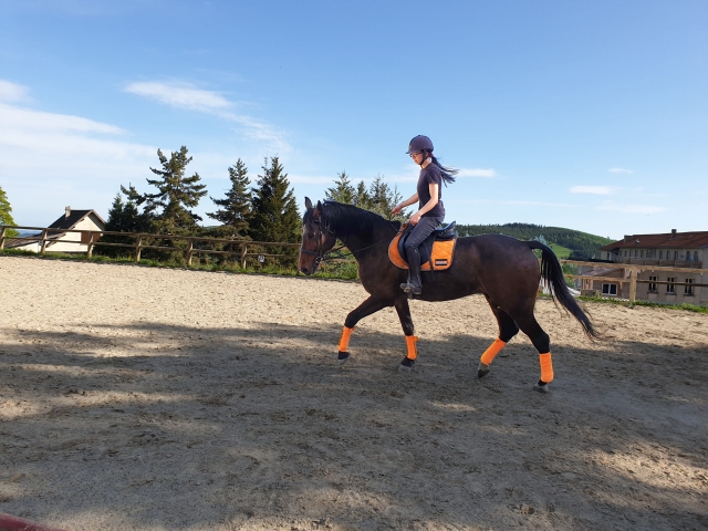  Experiencias ecuestres en Ardèche 