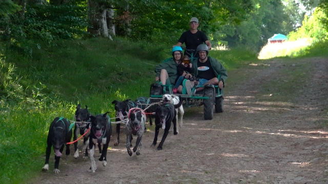  Paseo en trineo en Bromont Lamothe 