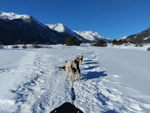  Mushing en el Valle de la Clarée 