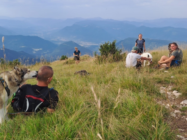  Conozca a nuestros perros en Drôme 
