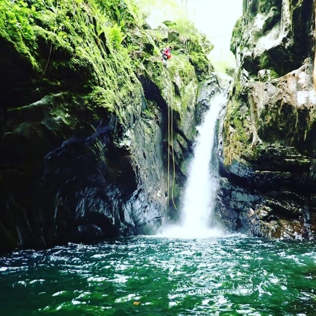 Descubra la naturaleza de la piel de pilos 