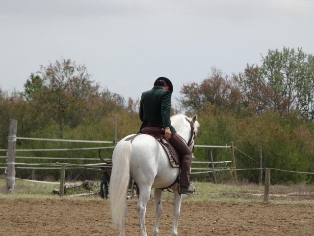 Una compañía que huele a Camargue 