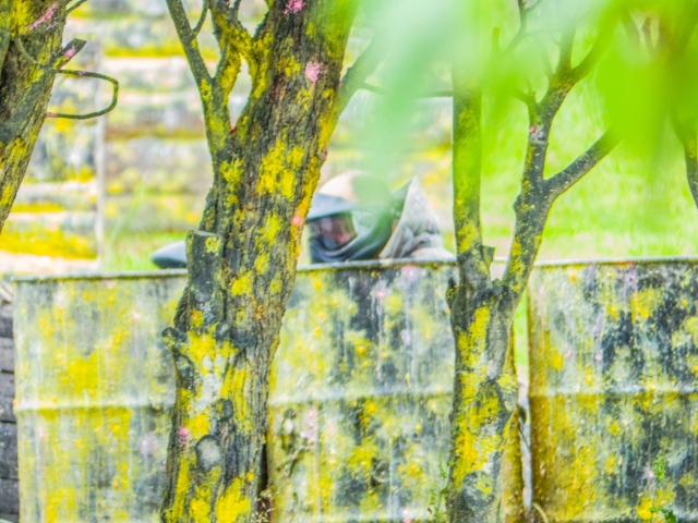  Vive un momento rico en adrenalina 