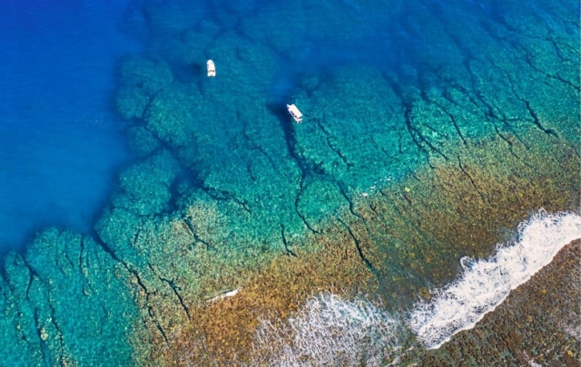  playas paradisíacas con vistas de aves 