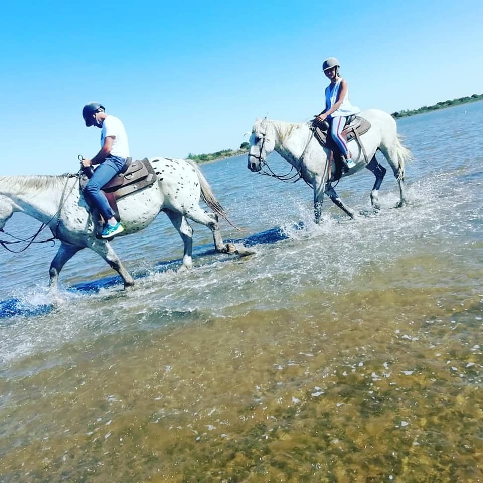 Pbaños a caballo en la Camarga Pbaños a caballo en la Camarga