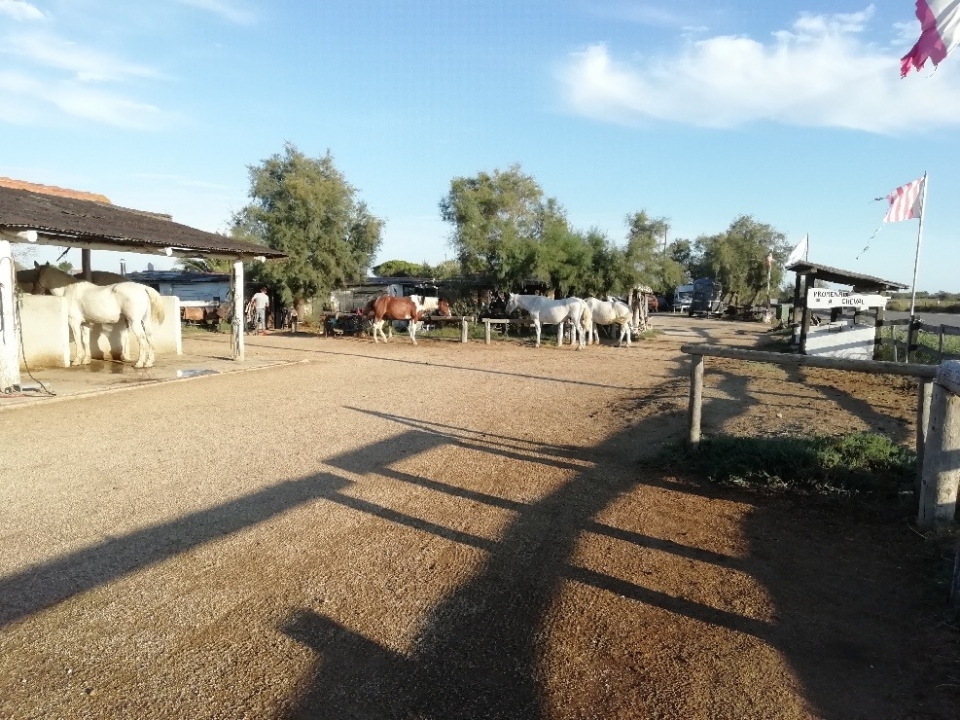 Le esperamos en el centro ecuestre Le esperamos en el centro ecuestre
