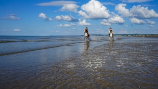 Poney Club de Cabourg-Le Home
