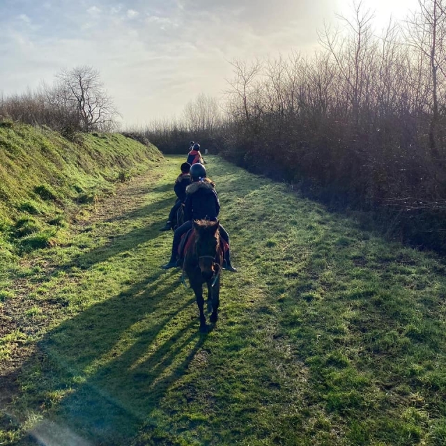  Realice una actividad ecuestre en el campo 