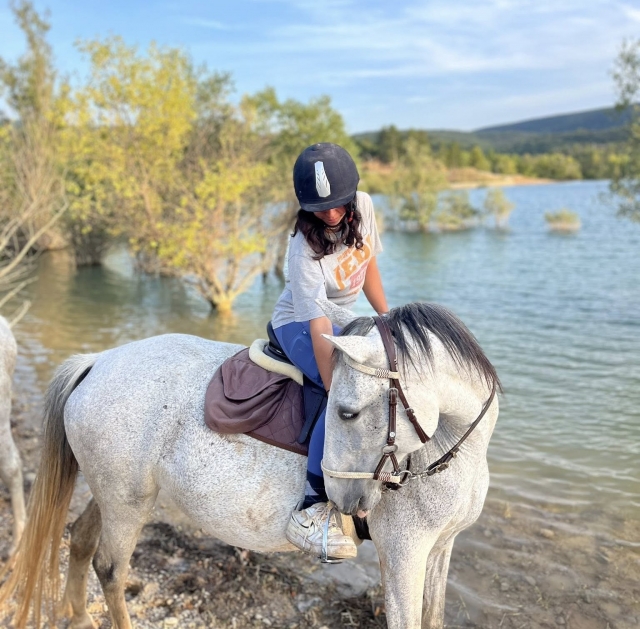  La conexión entre caballo y humano es muy importante
