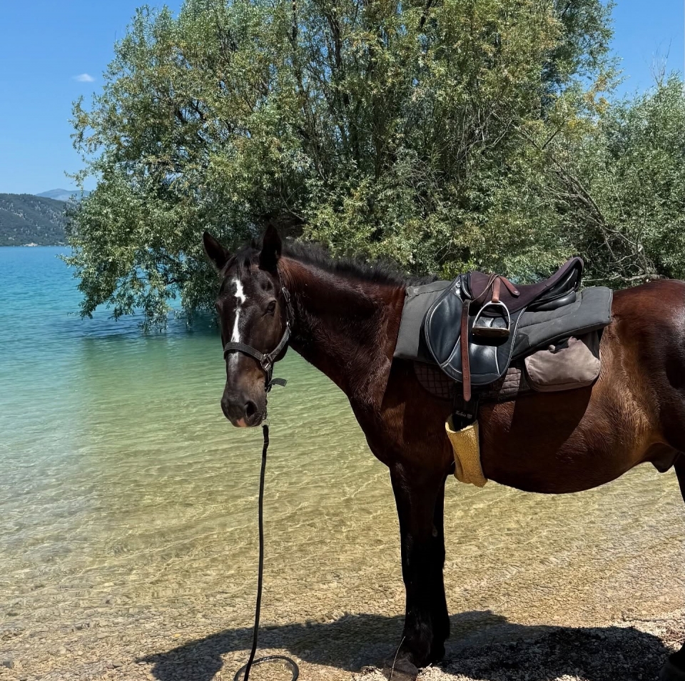 Nada mejor para visitar la Provenza que un paseo a caballo Nada mejor para visitar la Provenza que un paseo a caballo