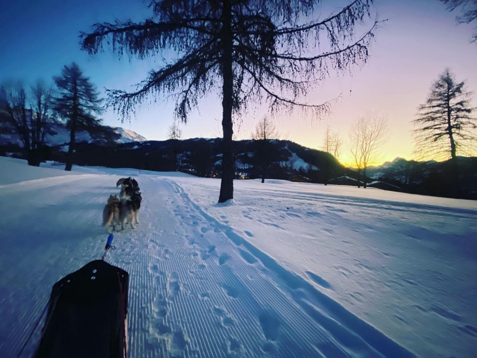  Un panorama excepcional durante una actividad de mushing 