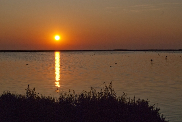  Una vista única del estanque de Vaccarès 