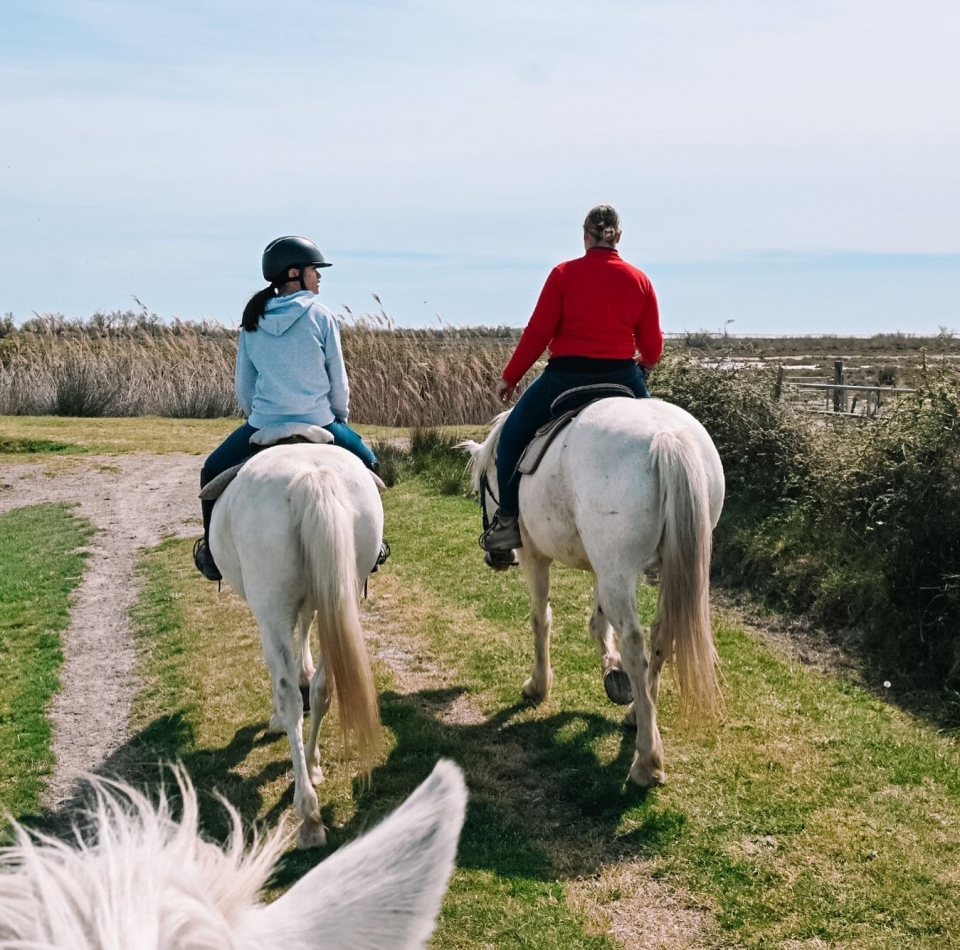  Reservación su paseo a caballo en la Camarga 