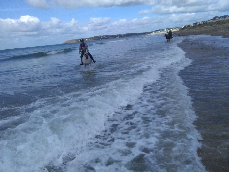  Pasear por la playa a caballo 