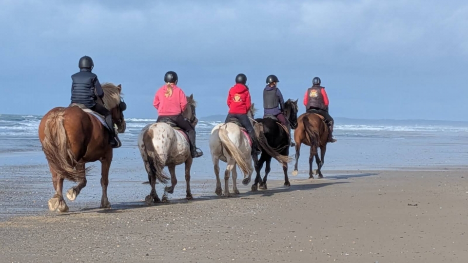  Opta por uno de nuestros pbaños 