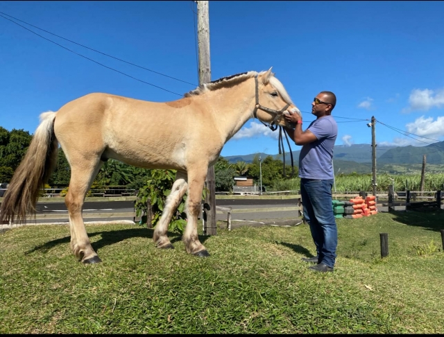  Comparte con nosotros su amor por los animales 