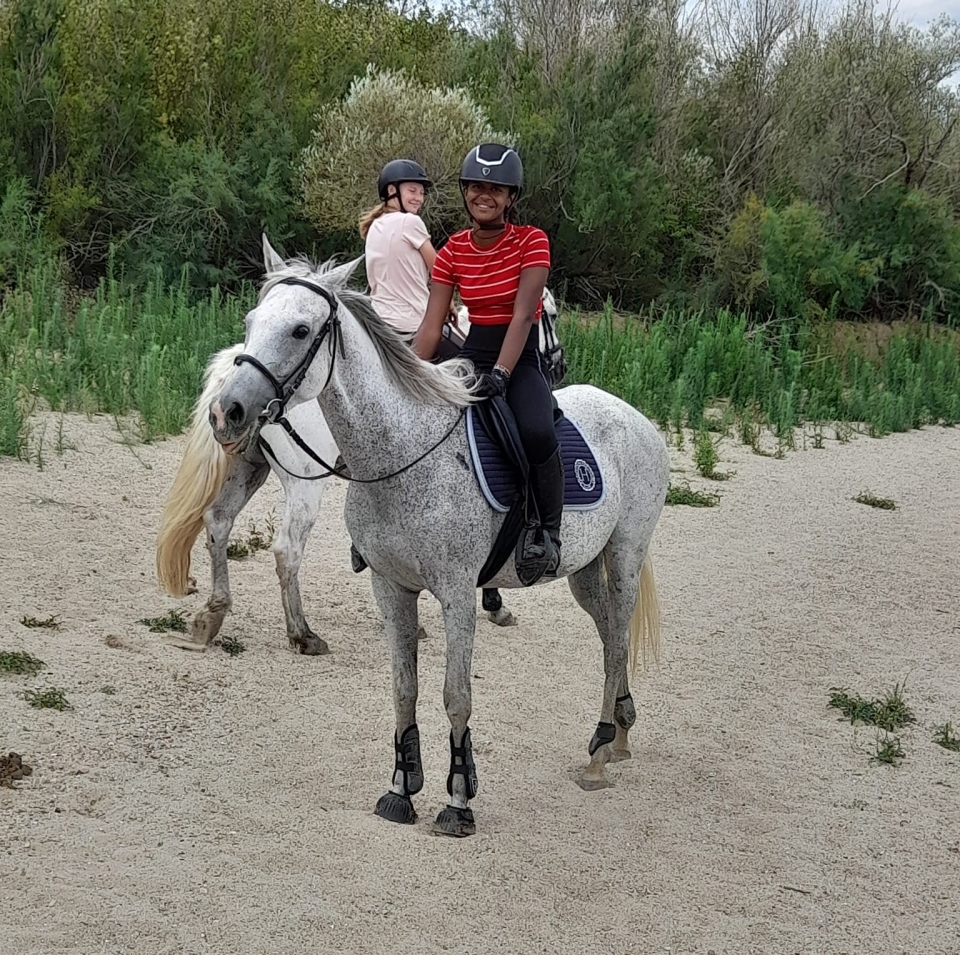 Progresa con nuestro centro ecuestre 