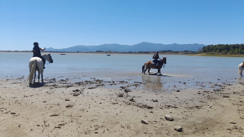  Reservación su paseo en el lago de Villeneuve-de-la-Raho 