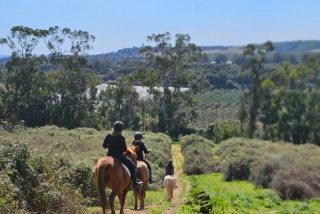 Les Écuries de San Giuliano