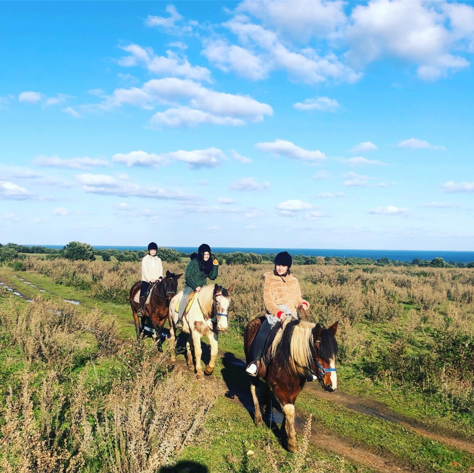  Venga a disfrutar de un momento único a caballo en Córcega 