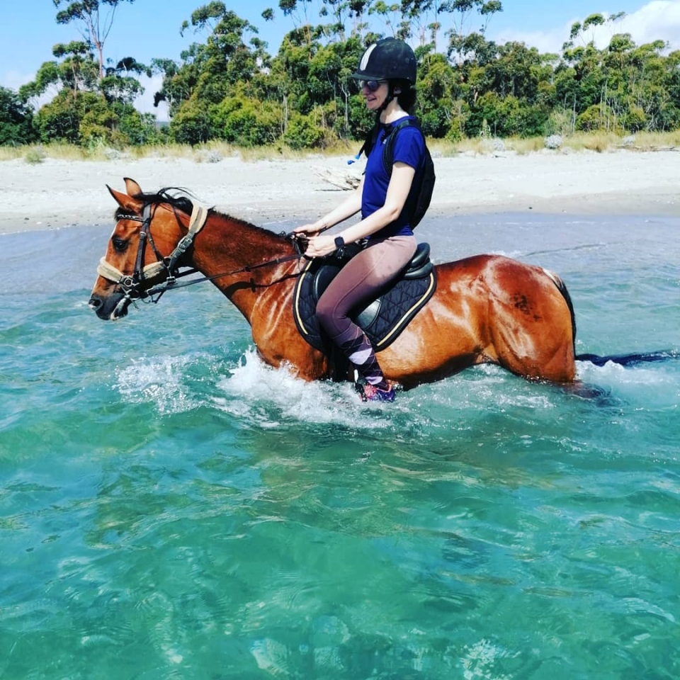  Caballos acostumbrados al agua y perfectamente acostumbrados a los pbaños 