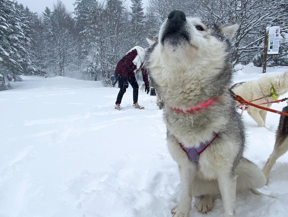  Bienvenido a los Pirineos Atlánticos 